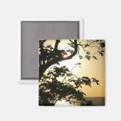 Sunset Through Trees II Tropische fotografie Magneet (Voorkant / Achterkant)