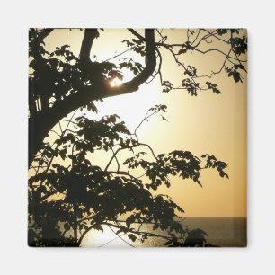 Sunset Through Trees II Tropische fotografie Magneet