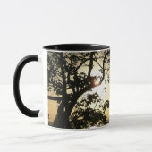 Sunset Through Trees II Tropische fotografie Mok (Links)