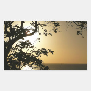 Sunset Through Trees II Tropische fotografie Rechthoekige Sticker