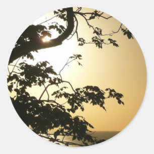 Sunset Through Trees II Tropische fotografie Ronde Sticker