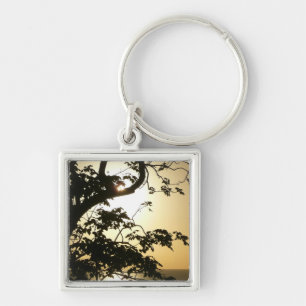 Sunset Through Trees II Tropische fotografie Sleutelhanger