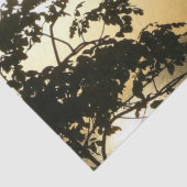 Sunset Through Trees II Tropische fotografie Tissuepapier (Detail)