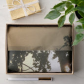 Sunset Through Trees II Tropische fotografie Tissuepapier (Geschenk)