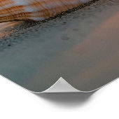 Sunset Tide: Shell op de kustlijn Poster (Hoek)