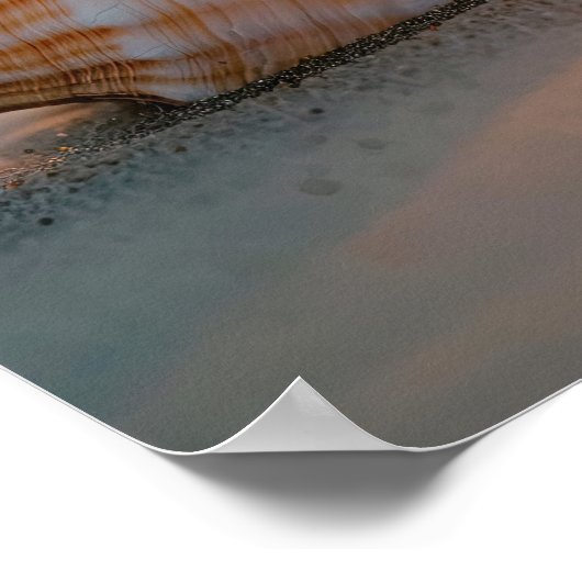 Sunset Tide: Shell op de kustlijn Poster (Hoek)