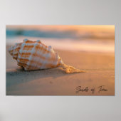 Sunset Tide: Shell op de kustlijn Poster (Voorkant)