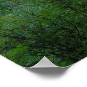 Sunset Truck Poster (Hoek)