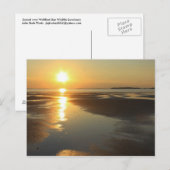 Sunset Wellfleet Bay Wildlife Sanctuary Kaap Cod. Briefkaart (Voorkant / Achterkant)