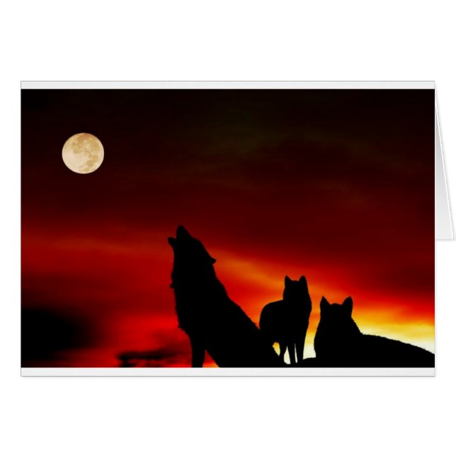 Sunset Wolves (Voorkant Horizontaal)