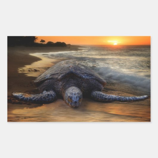 Sunset Zee Turtle Sticker (Voorkant)