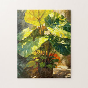 Sunshine Alocasia-Plant Legpuzzel