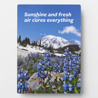 Sunshine and Fresh Air Fotoplaat