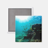 Sunshine and Tropical Fish Magneet (Voorkant / Achterkant)