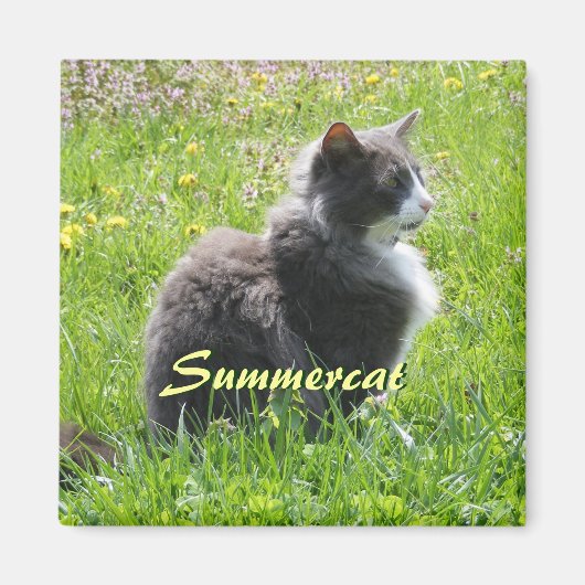 Sunshine Cat Magnet Magneet (Voorkant)