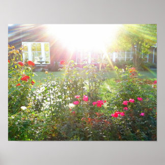 SUNSHINE EN ROOS poster