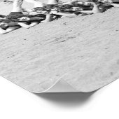 Sunshine Girls, 1923 Poster (Hoek)