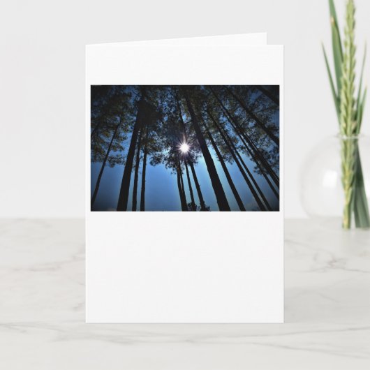 Sunshine, kaart (Voorkant)