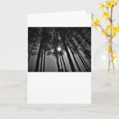 Sunshine / Noir, kaart (Gele Bloem)