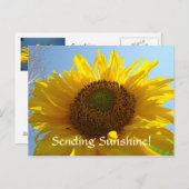 SUNSHINE Post Kaart Sun Flower Briefkaarten Feestd (Voorkant / Achterkant)