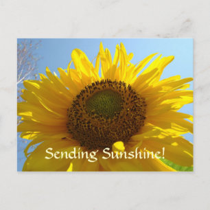 SUNSHINE Post Kaart Sun Flower Briefkaarten Feestd