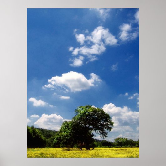 Sunshine Poster (Voorkant)