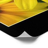 Sunshine Poster (Hoek)