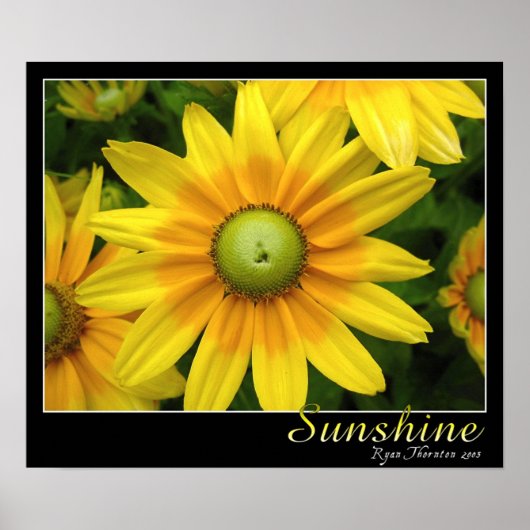 Sunshine Poster (Voorkant)