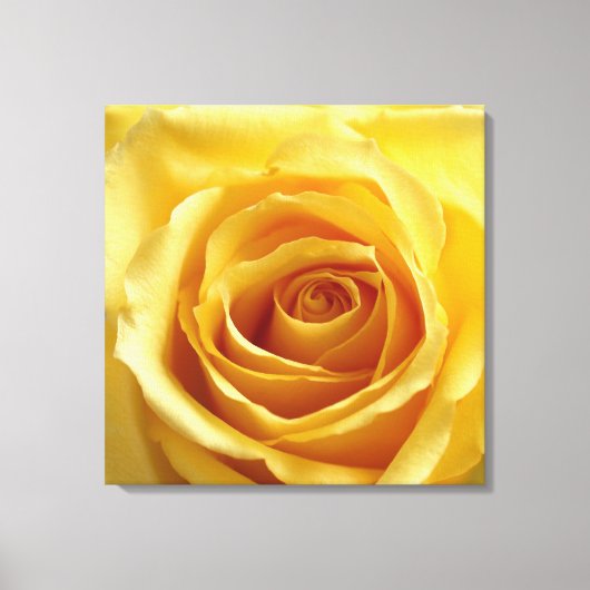 Sunshine Roos Stretted Canvas Print (Voorkant)