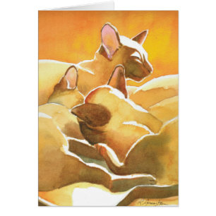 Sunshine Siamese katten