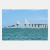 Sunshine Skyway Bridge Tampa Florida Foto Inpakpapier Vel (Voorkant)