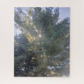 Sunshine Through Tree Jigzaag Puzzle Legpuzzel (Verticaal)