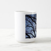 Sunshine Through Trees Mok (Center)