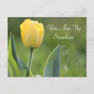 Sunshine Tulip Fotografie Briefkaart