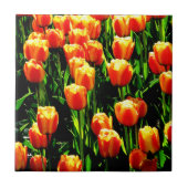 Sunshine Tulips Tegeltje (Voorkant)