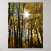 Sunstar Poster (Voorkant)