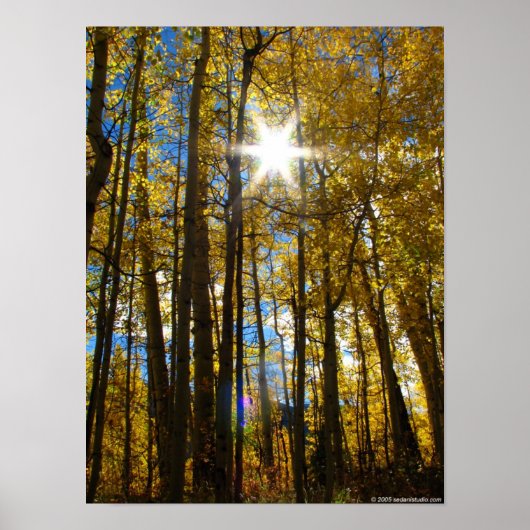 Sunstar Poster (Voorkant)