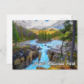 Sunwapta Herfsten, Jasper National Park Briefkaart (Voorkant / Achterkant)