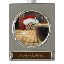 Sup Beer? Funny Humor Kitty Cat Fotografie