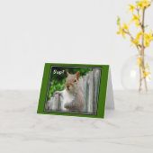 S'up ? - carte pour notes (Fleur jaune)