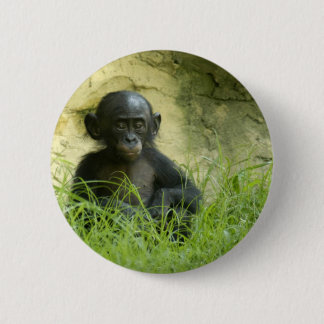 Sup? DArcy Evans Foto Ronde Button 5,7 Cm