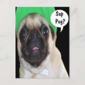 Sup Pug? Briefkaart (Voorkant)