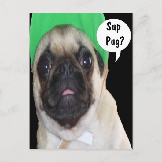 Sup Pug? Briefkaart (Voorkant)
