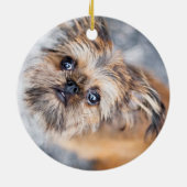 Sup Pup Rup Brussels Griffon Ornament (Achterkant)