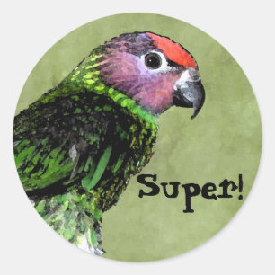 SUPER beloning sticker met Lorikeet