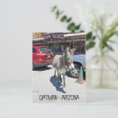Super Carte Postale Oatman ! (Debout devant)