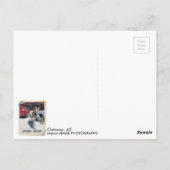 Super Carte Postale Oatman ! (Dos)