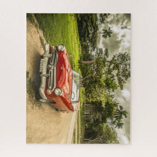 Super Cool Thunderbird Automobile Legpuzzel