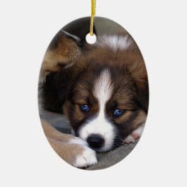 Super Cute Australian Shepherd Puppy Keramisch Ornament