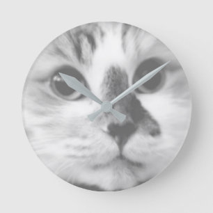 SUPER CUTE Cat Closeup Portret Foto Ronde Klok